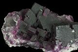 Purple Cubic Fluorite - Cave-In-Rock, Illinois #72867-2